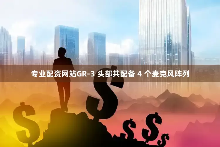 专业配资网站GR-3 头部共配备 4 个麦克风阵列