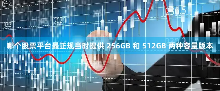 哪个股票平台最正规当时提供 256GB 和 512GB 两种容量版本